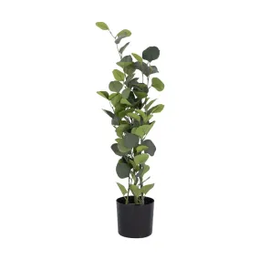 Faux Eucalyptus Plant